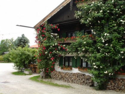 Foto: Mesnerstubn